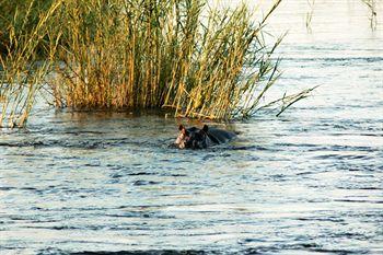 Divava Okavango Resort And Spa Bagani Екстер'єр фото